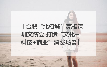合肥“北幻城”亮相深圳文博会 打造“文化+科技+商业”消费场景