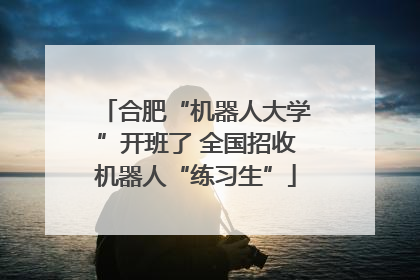 合肥“机器人大学”开班了 全国招收机器人“练习生”