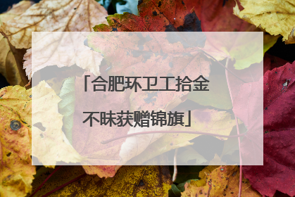 合肥环卫工拾金不昧获赠锦旗