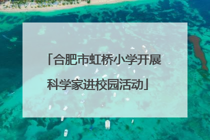 合肥市虹桥小学开展科学家进校园活动