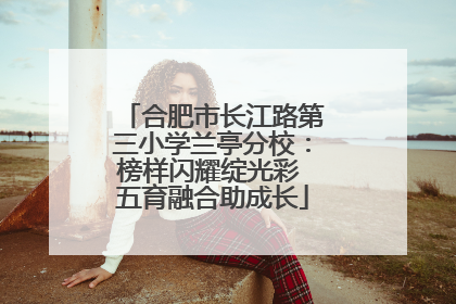 合肥市长江路第三小学兰亭分校：榜样闪耀绽光彩 五育融合助成长