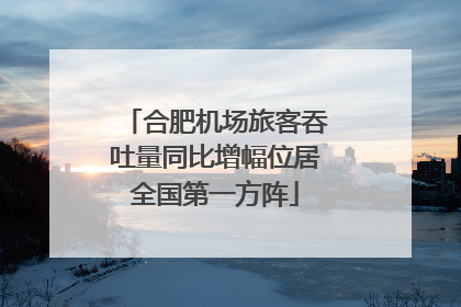 合肥机场旅客吞吐量同比增幅位居全国第一方阵