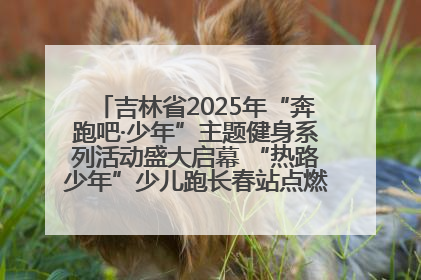 吉林省2025年“奔跑吧·少年”主题健身系列活动盛大启幕 “热路少年”少儿跑长春站点燃少年运动热情