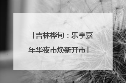 吉林桦甸：乐享嘉年华夜市焕新开市