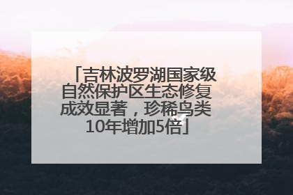 吉林波罗湖国家级自然保护区生态修复成效显著，珍稀鸟类10年增加5倍