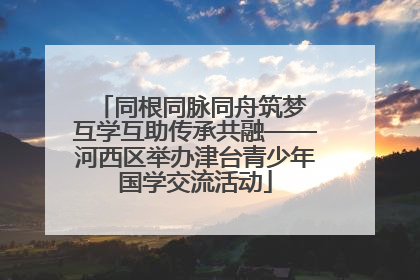 同根同脉同舟筑梦 互学互助传承共融——河西区举办津台青少年国学交流活动