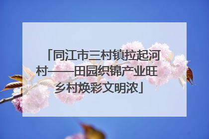 同江市三村镇拉起河村——田园织锦产业旺 乡村焕彩文明浓