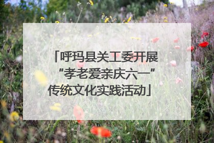 呼玛县关工委开展“孝老爱亲庆六一”传统文化实践活动