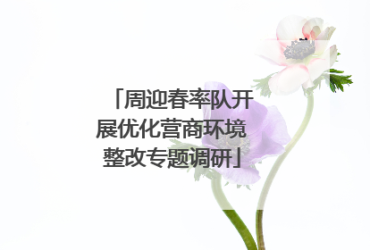 周迎春率队开展优化营商环境整改专题调研