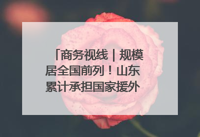 商务视线｜规模居全国前列！山东累计承担国家援外项目340多个