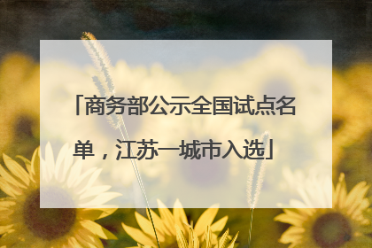 商务部公示全国试点名单，江苏一城市入选