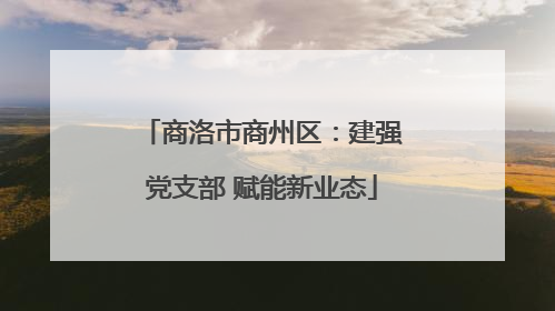商洛市商州区：建强党支部 赋能新业态