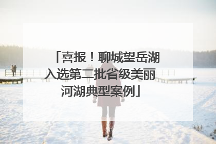 喜报！聊城望岳湖入选第二批省级美丽河湖典型案例
