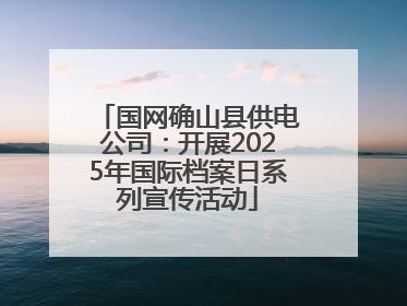 国网确山县供电公司：开展2025年国际档案日系列宣传活动