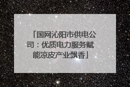 国网沁阳市供电公司：优质电力服务赋能凉皮产业飘香