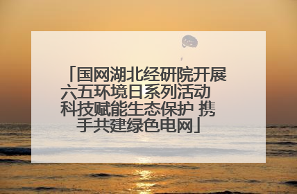国网湖北经研院开展六五环境日系列活动 科技赋能生态保护 携手共建绿色电网