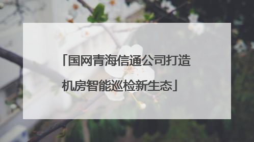 国网青海信通公司打造机房智能巡检新生态