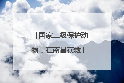 国家二级保护动物，在南昌获救