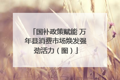 国补政策赋能 万年县消费市场焕发强劲活力（图）