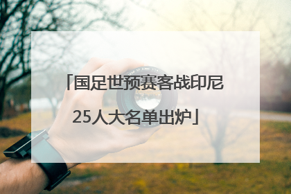 国足世预赛客战印尼25人大名单出炉