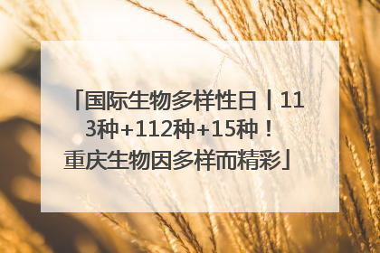 国际生物多样性日丨113种+112种+15种！重庆生物因多样而精彩