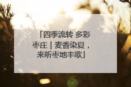 四季流转 多彩枣庄｜麦香染夏，来听枣地丰歌