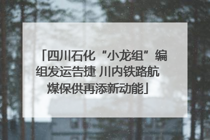 四川石化“小龙组”编组发运告捷 川内铁路航煤保供再添新动能