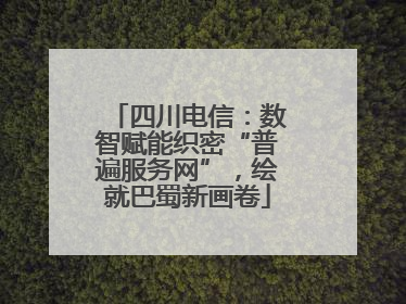 四川电信：数智赋能织密“普遍服务网”，绘就巴蜀新画卷
