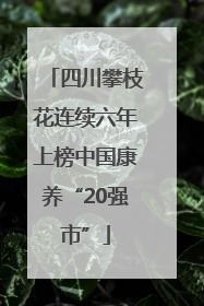 四川攀枝花连续六年上榜中国康养“20强市”