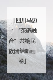 四川马边：“茶旅融合”共绘民族团结新画卷