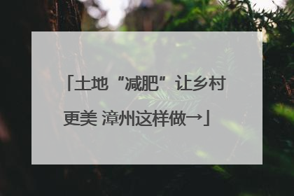 土地“减肥”让乡村更美 漳州这样做→