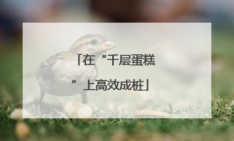 在“千层蛋糕”上高效成桩