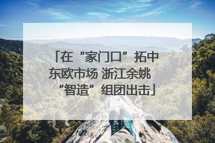 在“家门口”拓中东欧市场 浙江余姚“智造”组团出击