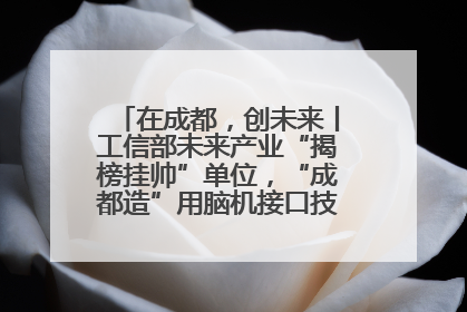 在成都，创未来丨工信部未来产业“揭榜挂帅”单位，“成都造”用脑机接口技术造福孤独症儿童