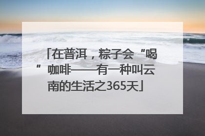 在普洱，粽子会“喝”咖啡——有一种叫云南的生活之365天