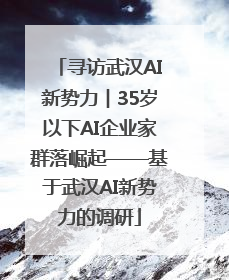 寻访武汉AI新势力︱35岁以下AI企业家群落崛起——基于武汉AI新势力的调研