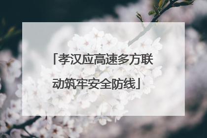 孝汉应高速多方联动筑牢安全防线