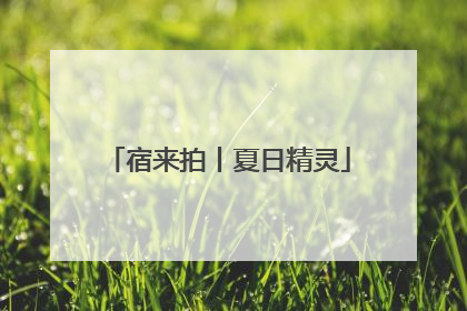 宿来拍丨夏日精灵