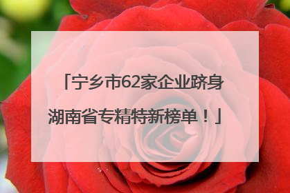 宁乡市62家企业跻身湖南省专精特新榜单！