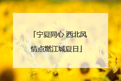 宁夏同心 西北风情点燃江城夏日