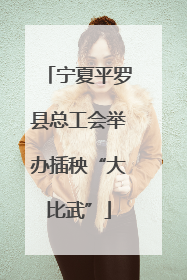 宁夏平罗县总工会举办插秧“大比武”