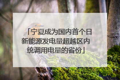 宁夏成为国内首个日新能源发电量超越区内统调用电量的省份