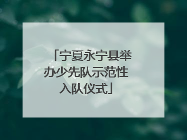 宁夏永宁县举办少先队示范性入队仪式