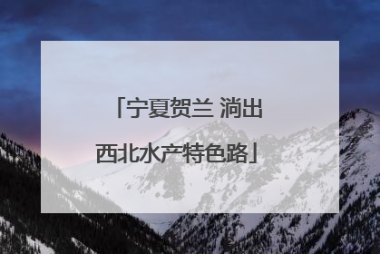 宁夏贺兰 淌出西北水产特色路