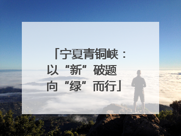 宁夏青铜峡：以“新”破题 向“绿”而行