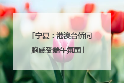 宁夏：港澳台侨同胞感受端午氛围