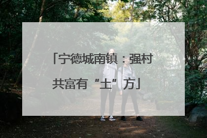 宁德城南镇：强村共富有“土”方