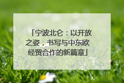 宁波北仑：以开放之姿，书写与中东欧经贸合作的新篇章