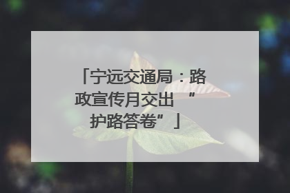 宁远交通局：路政宣传月交出 “护路答卷”