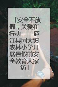 安全不放假，关爱在行动——庐江县同大镇农林小学开展暑假前安全教育大家访